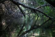 Минздрав: вода в ручье Дан начала светлеть, угрозы для здоровья нет