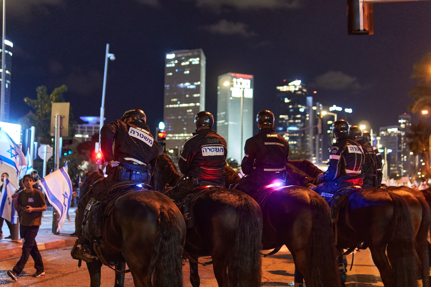 Предъявлено обвинение конному полицейскому, стегавшему демонстрантку