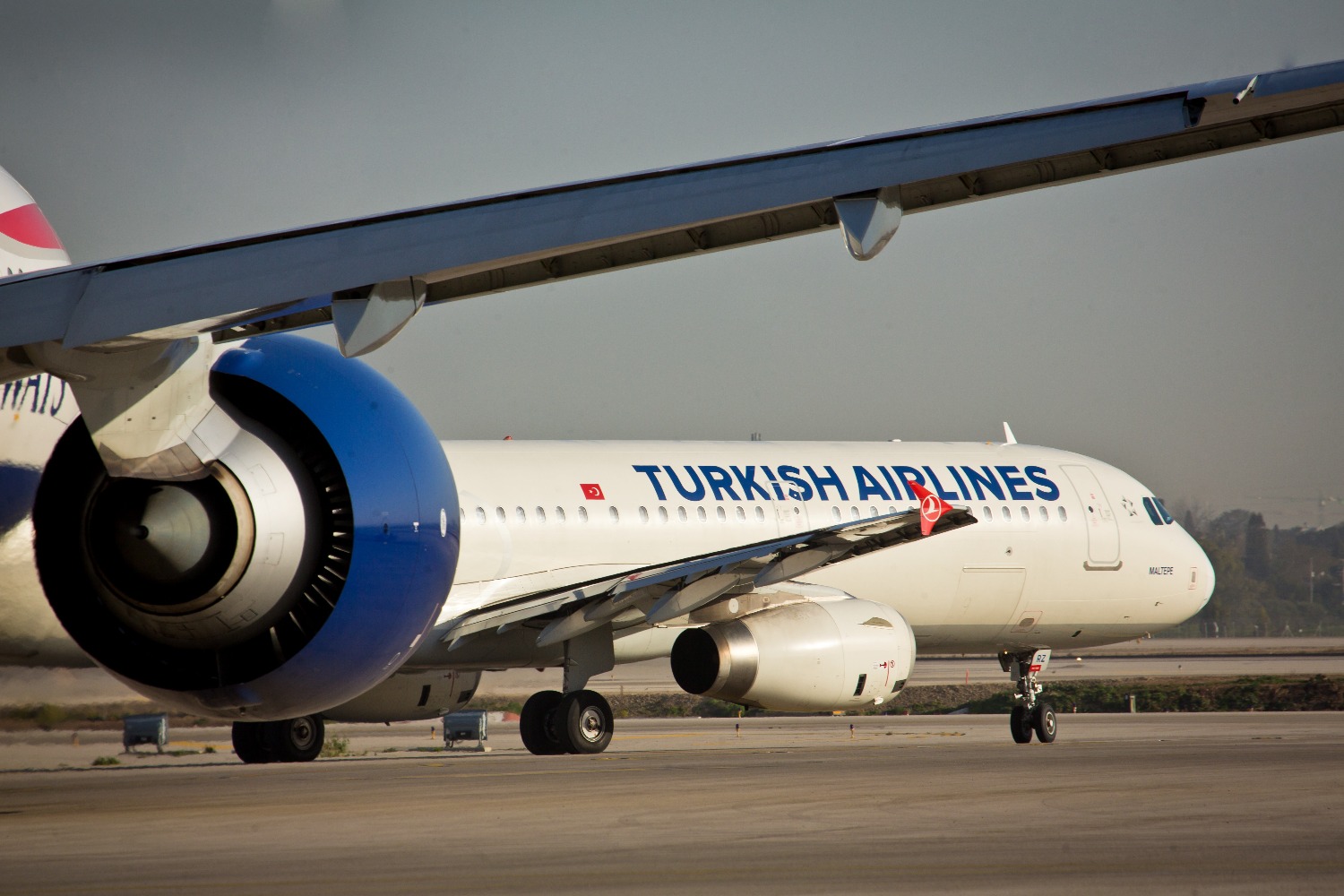 Израильский суд утвердил коллективный иск против Turkish Airlines