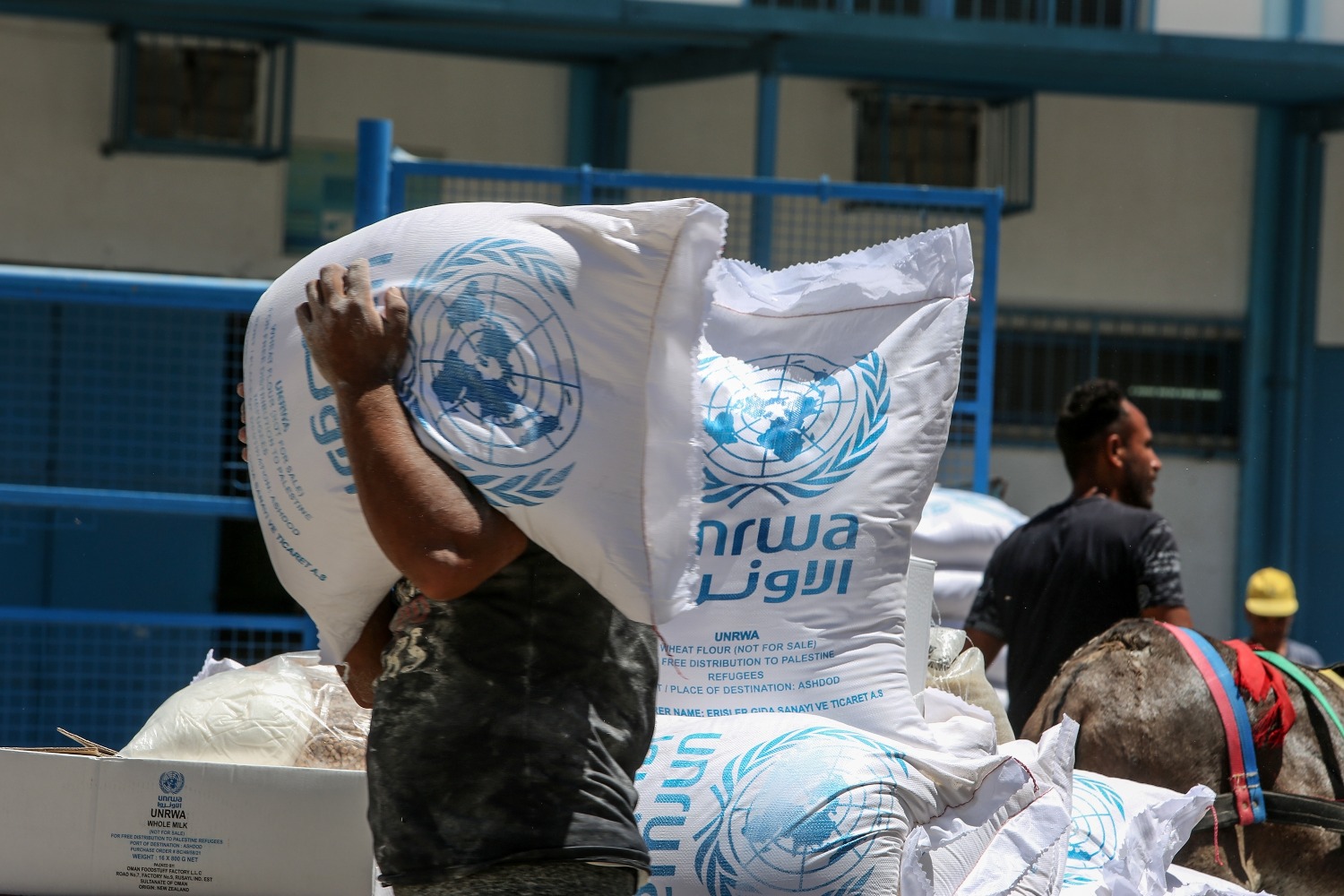 Агентства ООН начали распределение гуманитарной помощи в Газе впервые с 8 июня