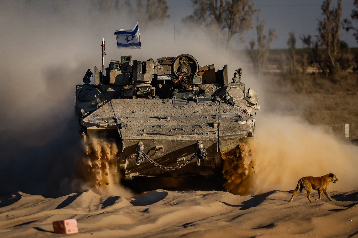 Ликвидация  командиров террористов в Секторе Газа и Ливане